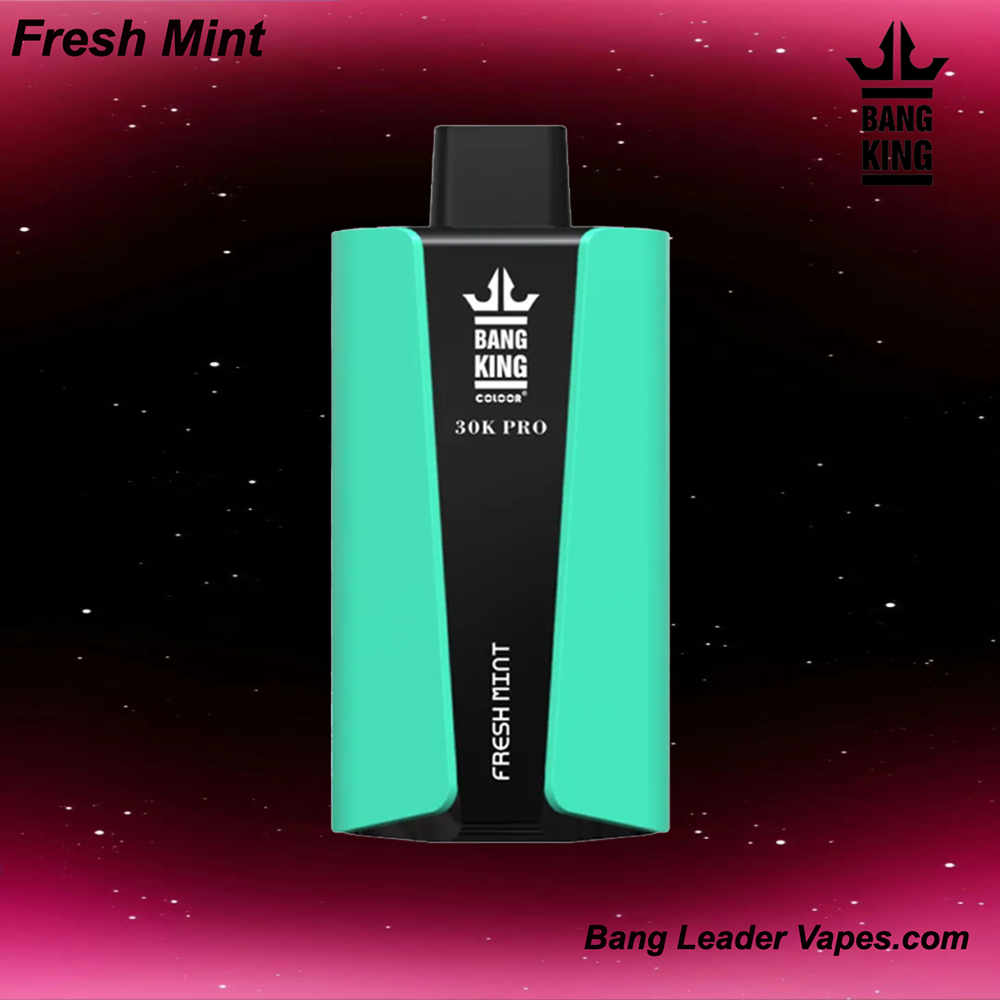 Bang King 30 K Pro Disposable Vape | 30,000 Puffs | 36 mL E‑Liquid | 850 mAh Rechargeable | Mesh Coil | USB‑C Charging | 12 Flavor Variants - Image 13