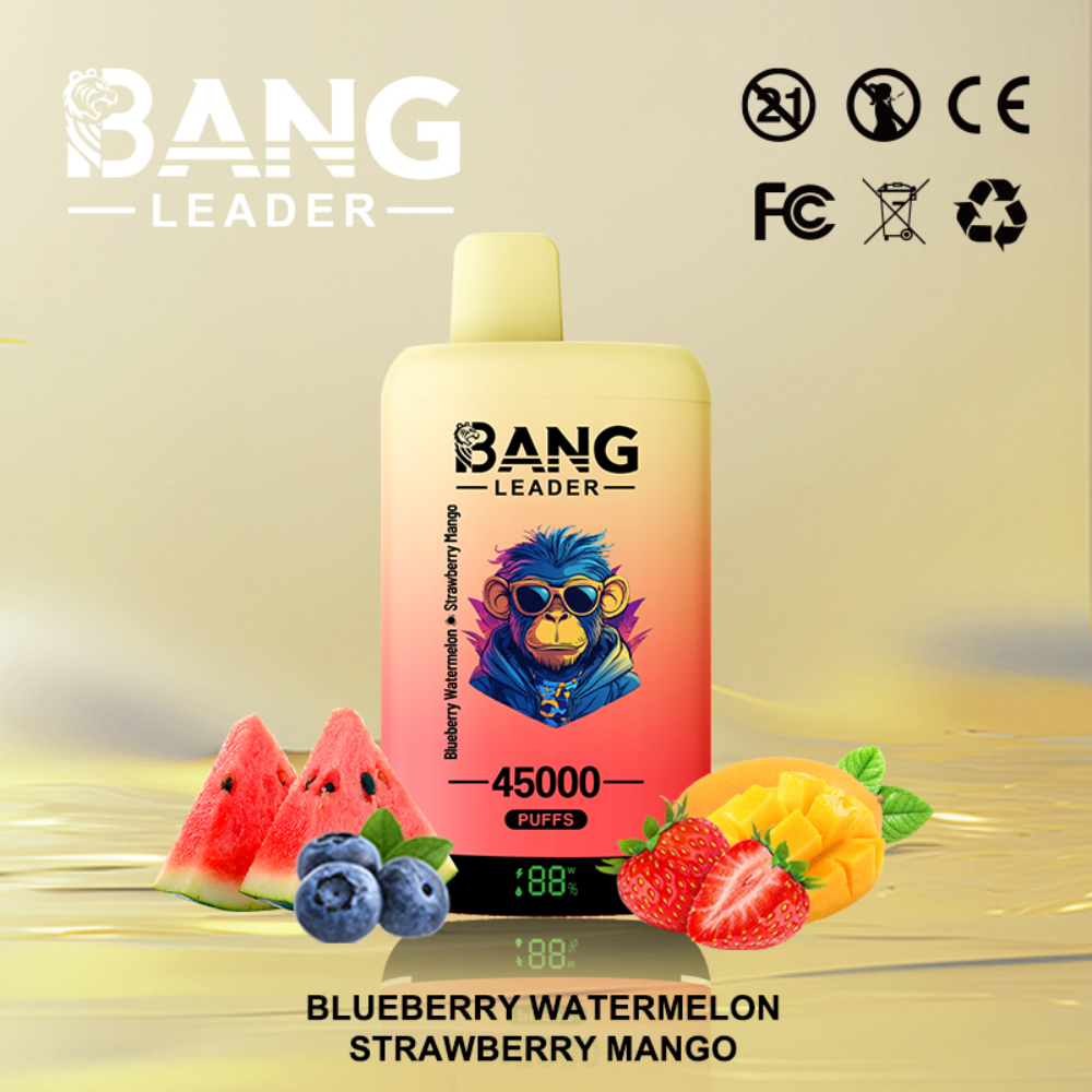 Bang Leader 45K Disposable Vape – 45,000 Puffs |18+18mL E-liquid | Type-C Recharge | Dual Flavors - Image 5