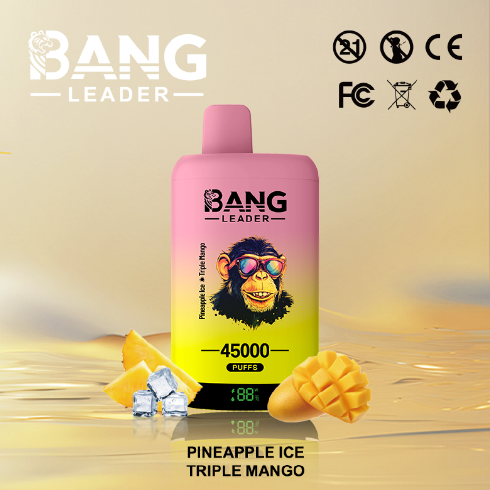 Bang Leader 45K Disposable Vape – 45,000 Puffs |18+18mL E-liquid | Type-C Recharge | Dual Flavors - Image 7
