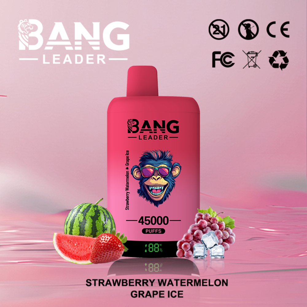 Bang Leader 45K Disposable Vape – 45,000 Puffs |18+18mL E-liquid | Type-C Recharge | Dual Flavors - Image 11