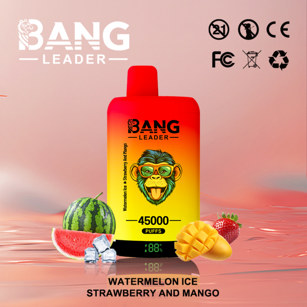 Bang Leader 45K Disposable Vape – 45,000 Puffs |18+18mL E-liquid | Type-C Recharge | Dual Flavors - Image 13