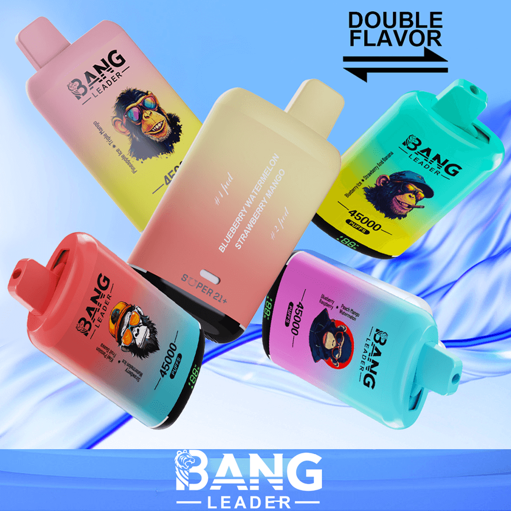Bang Leader 45K Disposable Vape – 45,000 Puffs |18+18mL E-liquid | Type-C Recharge | Dual Flavors