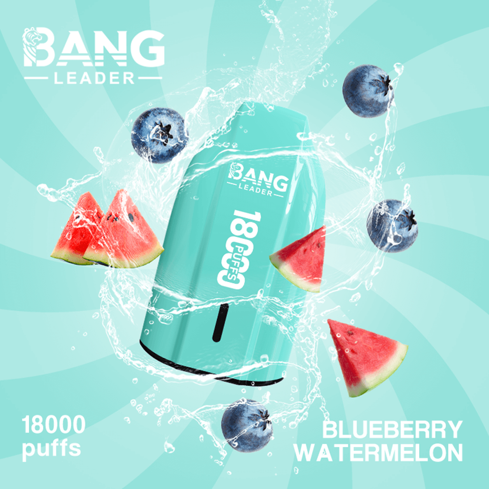 Bang Leader 18K Disposable Vape – 18000 Puffs | Single Flavor | Strong Clouds & Pure Taste - Image 3