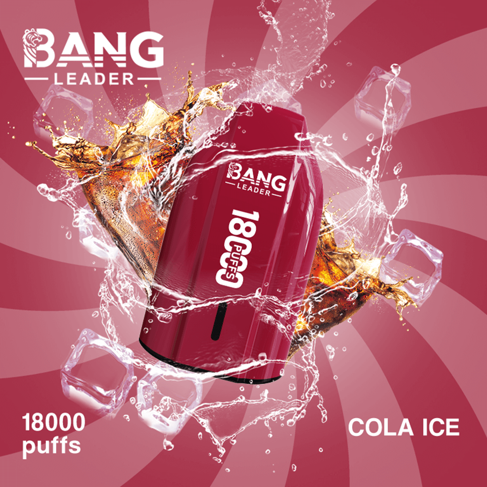 Bang Leader 18K Disposable Vape – 18000 Puffs | Single Flavor | Strong Clouds & Pure Taste - Image 4
