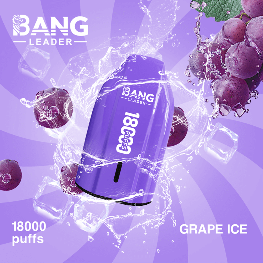 Bang Leader 18K Disposable Vape – 18000 Puffs | Single Flavor | Strong Clouds & Pure Taste - Image 5