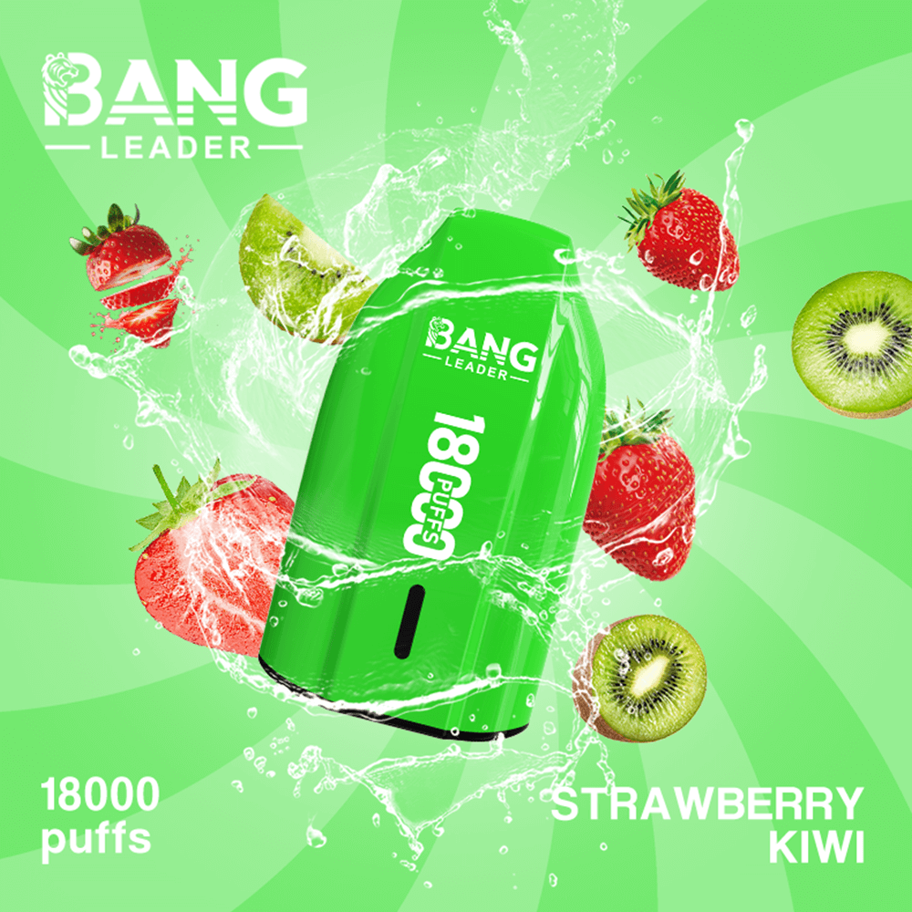 Bang Leader 18K Disposable Vape – 18000 Puffs | Single Flavor | Strong Clouds & Pure Taste - Image 11