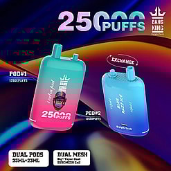 Sigaretta elettronica monouso Bang King 25K | 25.000 tiri | 12 gusti | E-liquid 23+23 ml | Batteria ricaricabile da 500 mAh | Ricarica di tipo C