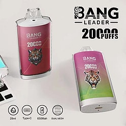 Bang Leader 20K Disposable Vape – 20,000 Puffs | 28mL E-liquid | Type-C Rechargeable