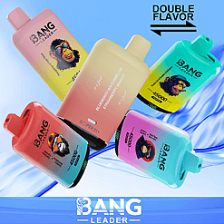 Vape jetable Bang Leader 45K – 45 000 bouffées | E-liquide 18 + 18 ml | Recharge Type-C | Double saveur