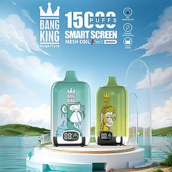 Bang King Smart Screen 15K Disposable Vape –15000 Puffs | Mesh Coil System