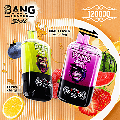 Bang Leader 120K Disposable Vape – 2-in-1 Magnetic Flavor Pods | 120,000 Puffs | Dual-Mesh Coil