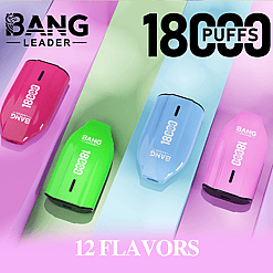 Bang Leader 18K Disposable Vape – 18000 Puffs | Single Flavor | Strong Clouds & Pure Taste