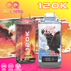 QQ Bang 120K Disposable Vape – 120,000 Puffs | Rechargeable Mesh Coil | Premium Single Flavor Vape