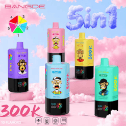 Bang DE 300K 5-in-1 Disposable Vape – 300,000 Puffs | 5 Flavor Switch