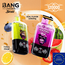 Bang Leader 120K 2-in-1 Dual Flavor Disposable Vape | EU Warehouse Shipping