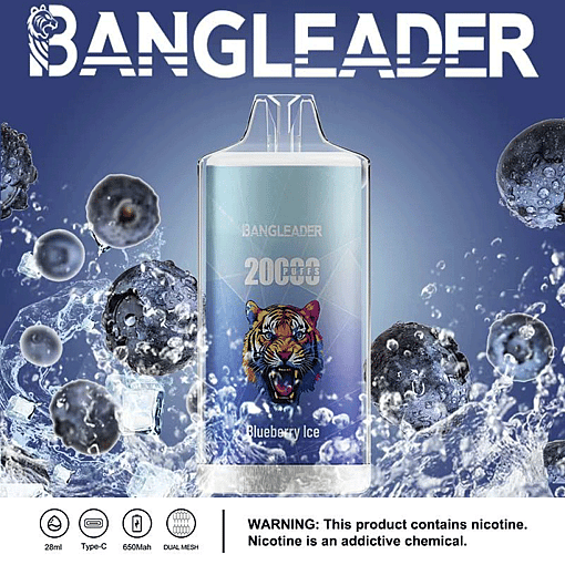 Bang Leader 20K Disposable Vape – 20,000 Puffs | 28mL E-liquid | Type-C Rechargeable – Bild 11