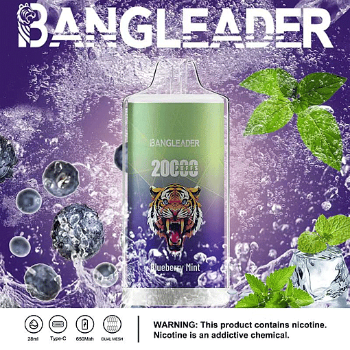 Bang Leader 20K Disposable Vape – 20,000 Puffs | 28mL E-liquid | Type-C Rechargeable – Bild 10