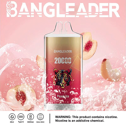 Bang Leader 20K Disposable Vape – 20,000 Puffs | 28mL E-liquid | Type-C Rechargeable – Bild 7