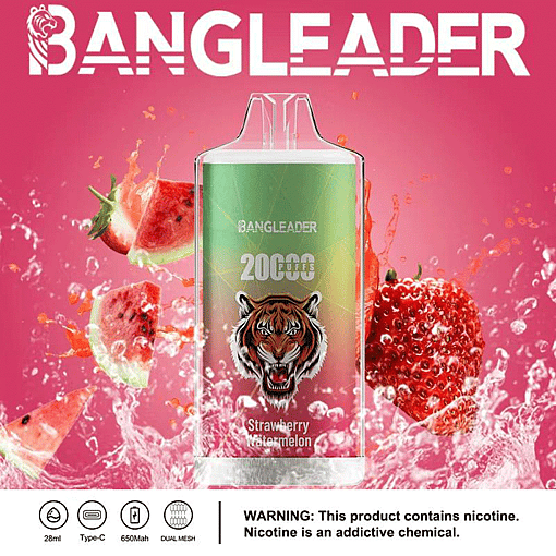 Bang Leader 20K Disposable Vape – 20,000 Puffs | 28mL E-liquid | Type-C Rechargeable – Bild 4