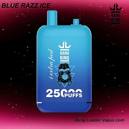 Bang King 25K Disposable Vape | 25,000 Puffs | 12 Flavors | 23+23 mL E‑liquid | 500 mAh Rechargeable Battery | Type‑C Charging – Image 2