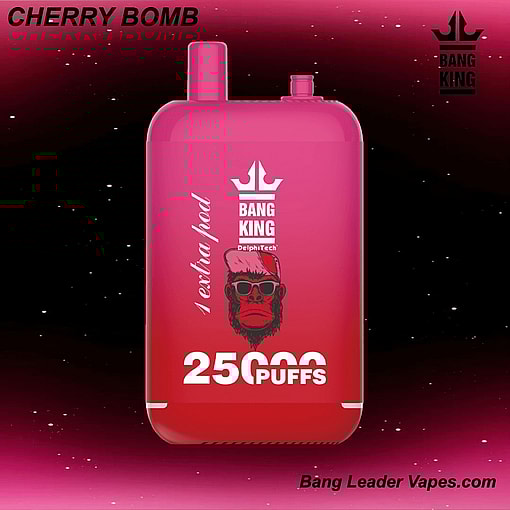 Bang King 25K Disposable Vape | 25,000 Puffs | 12 Flavors | 23+23 mL E‑liquid | 500 mAh Rechargeable Battery | Type‑C Charging – Image 3