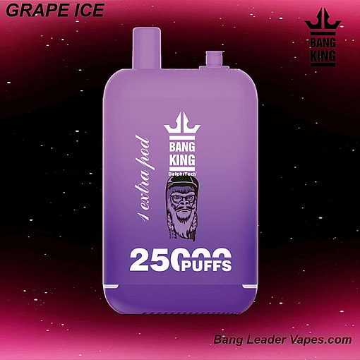Bang King 25K Disposable Vape | 25,000 Puffs | 12 Flavors | 23+23 mL E‑liquid | 500 mAh Rechargeable Battery | Type‑C Charging – Image 4