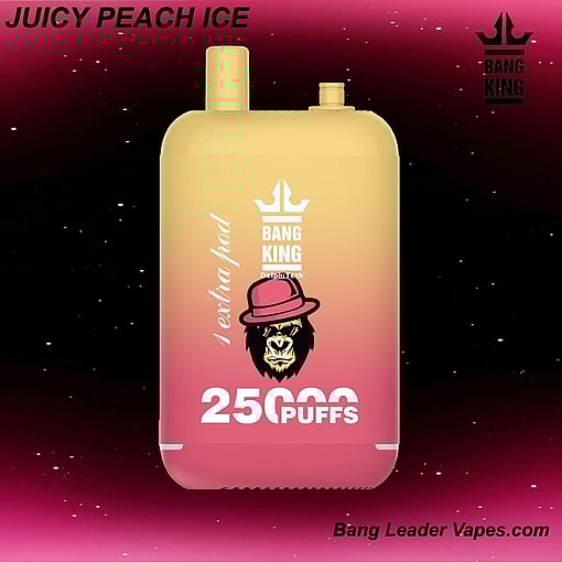 Bang King 25K Disposable Vape | 25,000 Puffs | 12 Flavors | 23+23 mL E‑liquid | 500 mAh Rechargeable Battery | Type‑C Charging – Image 5