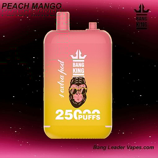 Bang King 25K Disposable Vape | 25,000 Puffs | 12 Flavors | 23+23 mL E‑liquid | 500 mAh Rechargeable Battery | Type‑C Charging – Image 6