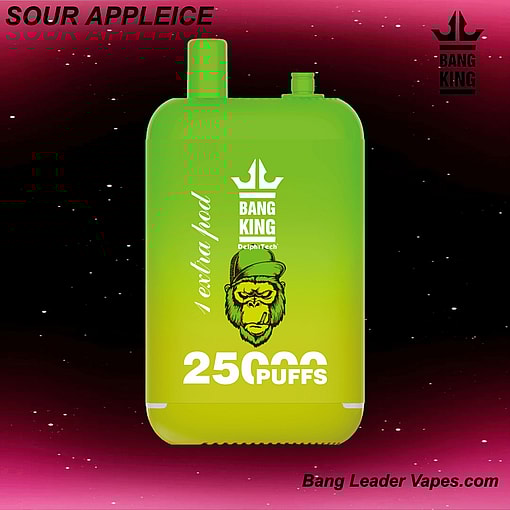 Bang King 25K Disposable Vape | 25,000 Puffs | 12 Flavors | 23+23 mL E‑liquid | 500 mAh Rechargeable Battery | Type‑C Charging – Image 7