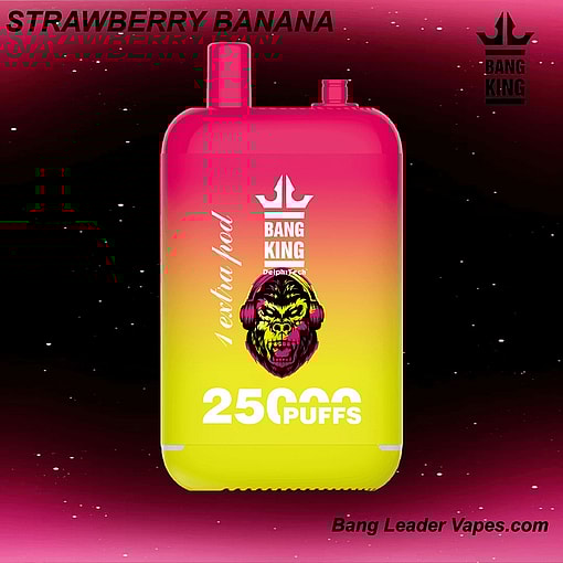 Bang King 25K Disposable Vape | 25,000 Puffs | 12 Flavors | 23+23 mL E‑liquid | 500 mAh Rechargeable Battery | Type‑C Charging – Image 8