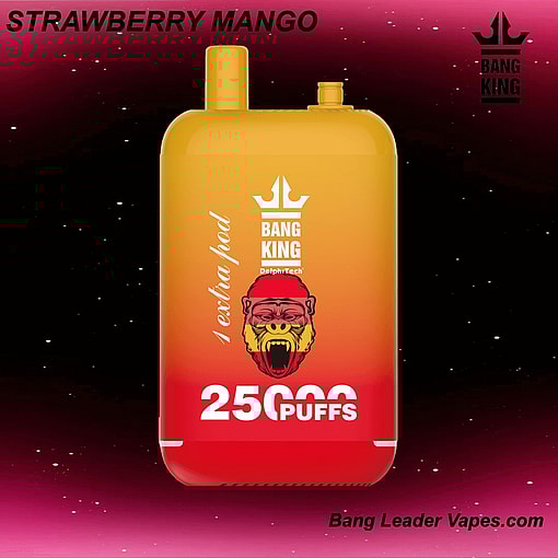 Bang King 25K Disposable Vape | 25,000 Puffs | 12 Flavors | 23+23 mL E‑liquid | 500 mAh Rechargeable Battery | Type‑C Charging – Image 9