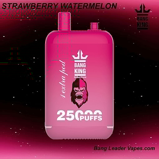 Bang King 25K Disposable Vape | 25,000 Puffs | 12 Flavors | 23+23 mL E‑liquid | 500 mAh Rechargeable Battery | Type‑C Charging – Image 10