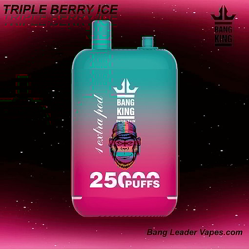 Bang King 25K Disposable Vape | 25,000 Puffs | 12 Flavors | 23+23 mL E‑liquid | 500 mAh Rechargeable Battery | Type‑C Charging – Image 11