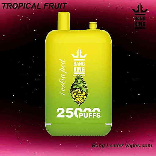 Bang King 25K Disposable Vape | 25,000 Puffs | 12 Flavors | 23+23 mL E‑liquid | 500 mAh Rechargeable Battery | Type‑C Charging – Image 12