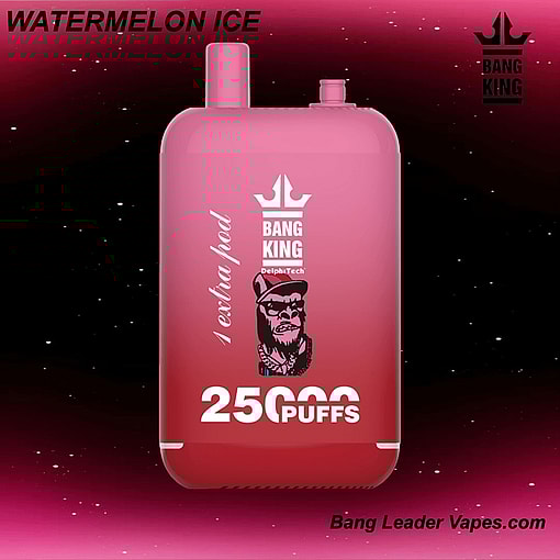 Bang King 25K Disposable Vape | 25,000 Puffs | 12 Flavors | 23+23 mL E‑liquid | 500 mAh Rechargeable Battery | Type‑C Charging – Image 13