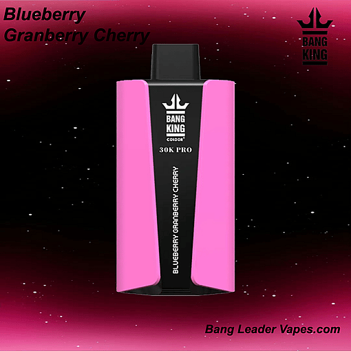 Bang King 30 K Pro Disposable Vape | 30,000 Puffs | 36 mL E‑Liquid | 850 mAh Rechargeable | Mesh Coil | USB‑C Charging | 12 Flavor Variants - immagine 10