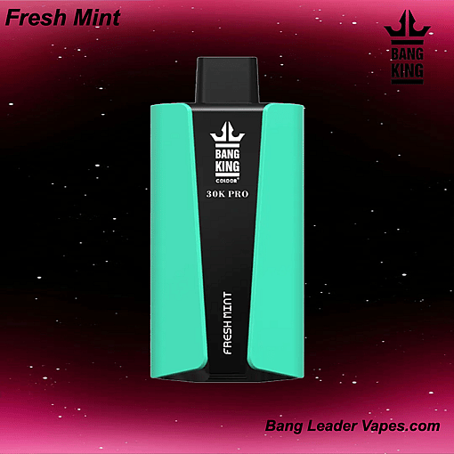 Bang King 30 K Pro Disposable Vape | 30,000 Puffs | 36 mL E‑Liquid | 850 mAh Rechargeable | Mesh Coil | USB‑C Charging | 12 Flavor Variants - immagine 13