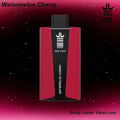 Bang King 30 K Pro Disposable Vape | 30,000 Puffs | 36 mL E‑Liquid | 850 mAh Rechargeable | Mesh Coil | USB‑C Charging | 12 Flavor Variants - immagine 8