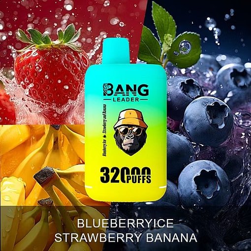 Bang Leader 32K Disposable Vape – 32,000 Puffs | Dual Mode | 28+28mL E-liquid | Type-C - Image 11