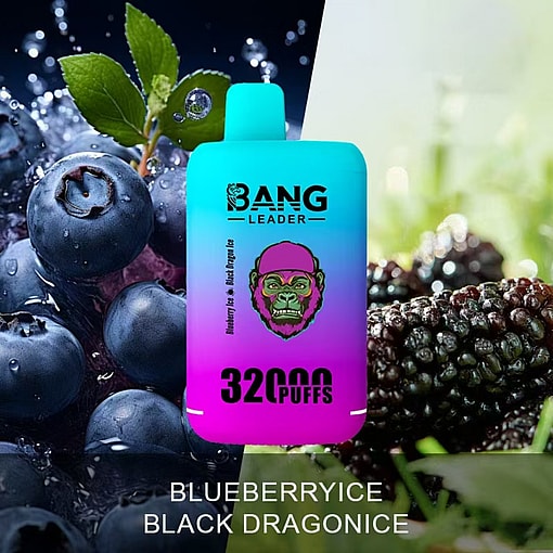 Bang Leader 32K Disposable Vape – 32,000 Puffs | Dual Mode | 28+28mL E-liquid | Type-C - Image 12