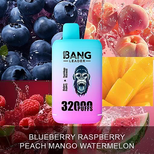 Bang Leader 32K Disposable Vape – 32,000 Puffs | Dual Mode | 28+28mL E-liquid | Type-C - Image 13
