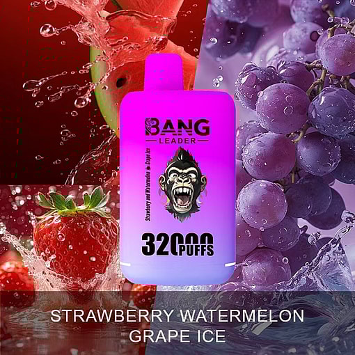 Bang Leader 32K Disposable Vape – 32,000 Puffs | Dual Mode | 28+28mL E-liquid | Type-C - Image 7