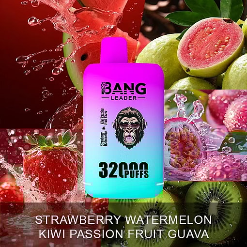 Bang Leader 32K Disposable Vape – 32,000 Puffs | Dual Mode | 28+28mL E-liquid | Type-C - Image 6