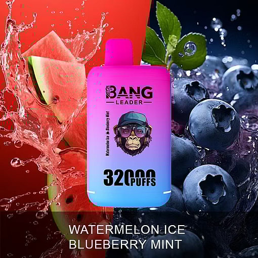 Bang Leader 32K Disposable Vape – 32,000 Puffs | Dual Mode | 28+28mL E-liquid | Type-C - Image 8