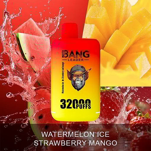 Bang Leader 32K Disposable Vape – 32,000 Puffs | Dual Mode | 28+28mL E-liquid | Type-C - Image 9