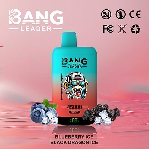 Bang Leader 45K Disposable Vape – 45,000 Puffs |18+18mL E-liquid | Type-C Recharge | Dual Flavors – Image 2