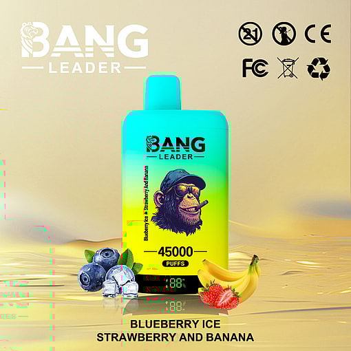 Bang Leader 45K Disposable Vape – 45,000 Puffs |18+18mL E-liquid | Type-C Recharge | Dual Flavors – Image 3
