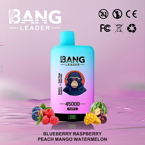 Bang Leader 45K Disposable Vape – 45,000 Puffs |18+18mL E-liquid | Type-C Recharge | Dual Flavors – Image 4