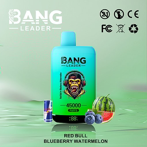 Bang Leader 45K Disposable Vape – 45,000 Puffs |18+18mL E-liquid | Type-C Recharge | Dual Flavors – Image 8