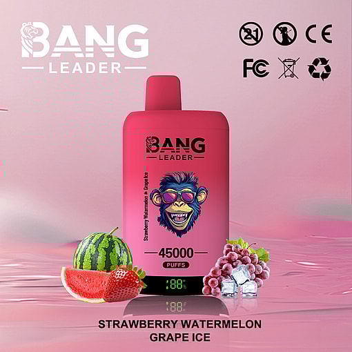 Bang Leader 45K Disposable Vape – 45,000 Puffs |18+18mL E-liquid | Type-C Recharge | Dual Flavors – Image 11